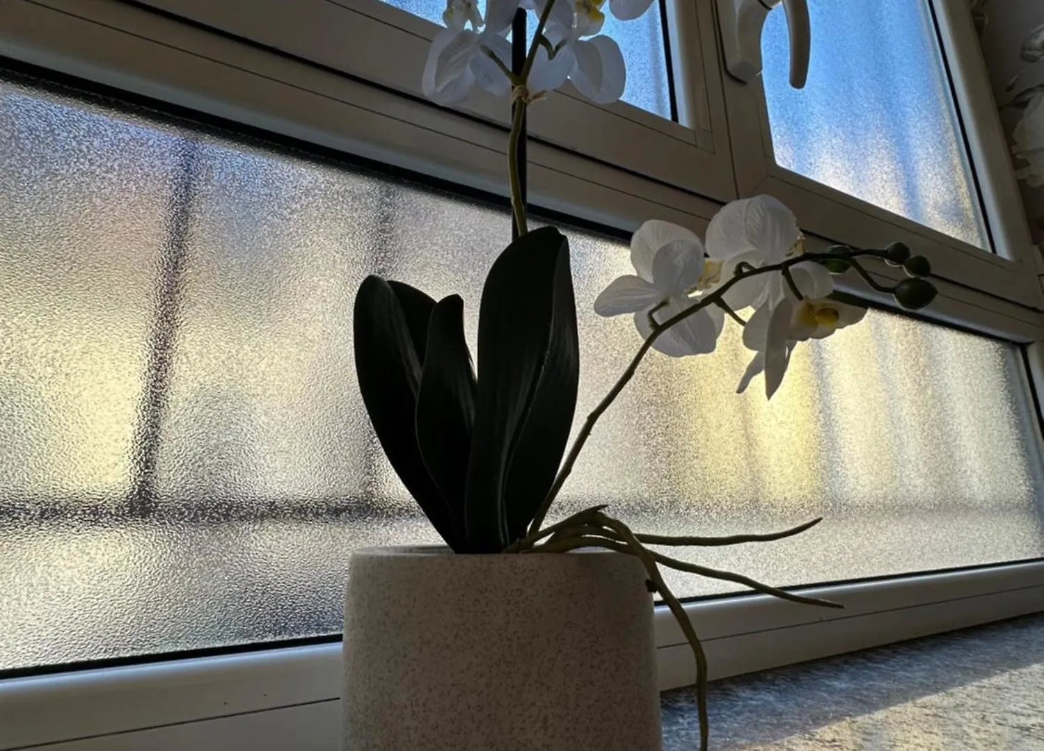 Flowers, A Cozy Suite In Mailand 0*,  Italien